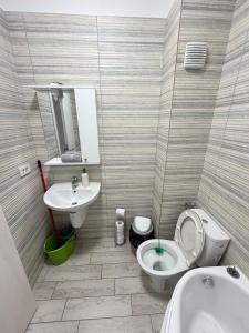 a small bathroom with a toilet and a sink at RC RelaxApart 15 in Dudu