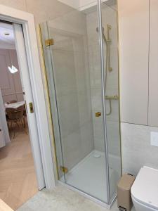 a glass shower in a bathroom with a toilet at Olimpia Luxury Apartment in Lębork