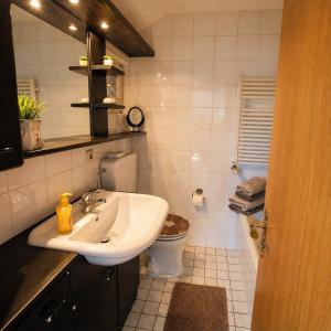 a bathroom with a sink and a toilet at Ferienwohnung Weber Alpenveilchen in Lechbruck