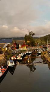 a group of boats are docked in a river at The Temple, Laguna de la Cocha in El Encano