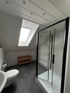 a bathroom with a shower and a toilet and a skylight at Platell Ferienhäuser Harz Lerbach in Lerbach +31 photos