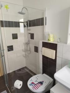 a bathroom with a shower with a toilet and a sink at Altes Forsthaus Zwenkau in Zwenkau +17 photos