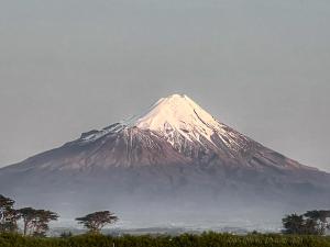 a snow covered mountain in the distance with trees in the foreground at Club Retro in Hawera