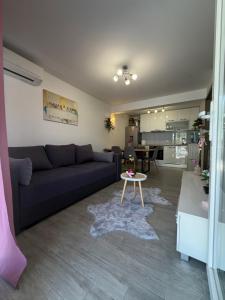 ein Wohnzimmer mit Sofa und Tisch in der Unterkunft Apartman Teo in Blace + 12 Fotos