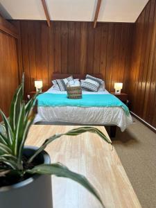 a bedroom with a bed and a potted plant at Casa Amparo in Frutillar