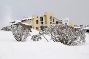 two bushes in the snow in front of a building at Chalet Hotham 1 in Mount Hotham