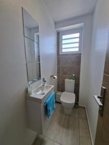 a bathroom with a toilet and a sink and a window at Appartement Mango in Rivière-Salée +13 photos