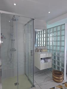 a bathroom with a glass shower and a sink at Studio Splash 2 personnes piscine chauffée in Rivière-Salée +9 photos