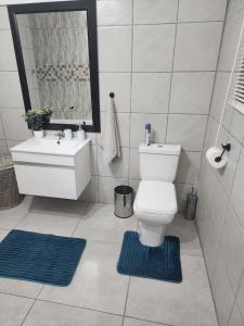 a bathroom with a toilet and a sink and a mirror at PJ Guesthouse in Welkom