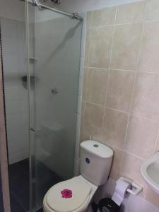 a bathroom with a shower and a toilet and a sink at CASA FLOR DE LIZ in Villavieja +19 photos