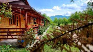 a wooden house with plants on the side of it at La Podul Gornii in Gornea