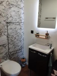 a bathroom with a white toilet and a sink at Studio de jardin dans son écrin de verdure in Saint-Lumine-de-Coutais