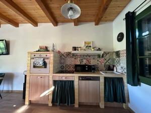 a kitchen with a stove and a microwave at Green river cottage in Žažina