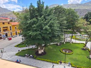 an overhead view of a park with a large tree at Hotel las vegas in Huánuco