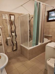 a bathroom with a shower and a tub and a sink at Agriturismo Tenuta Blueberry - Glicine in Varallo Pombia