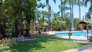 a resort yard with a swimming pool and palm trees at Casa Virgilio B&B in Nuevo Vallarta +42 photos
