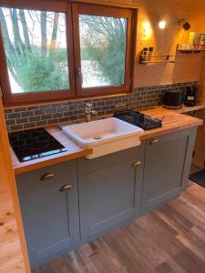 a kitchen with a sink and a stove and two windows at La Roulotte du Marais in Éclusier-Vaux