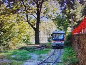 a train traveling down the tracks near a tree at Ζachlorou Inn in Kalavrita