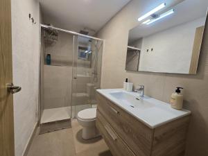 a bathroom with a sink and a toilet and a shower at Loft Centrico Tantín RH 17 in Santander