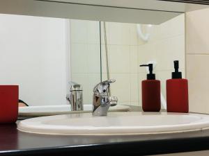 a bathroom sink with two soap bottles on it at Le Vercors Park in Die +17 photos