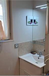 a bathroom with a sink and a mirror at Ptit Piment petite maison avec terrasse in Lanton +6 photos