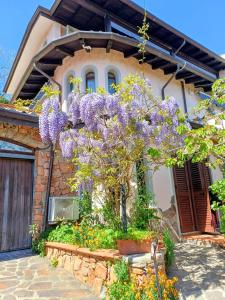 a house with a wisteria tree in front of it at Monti e Mare in Lanusei