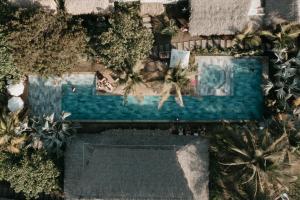 an overhead view of a swimming pool with palm trees at Cocorí Lodge Paredón in El Paredón Buena Vista
