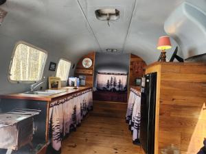 a kitchen with a counter and a sink in a room at Orange Lake Airstream in Whiting