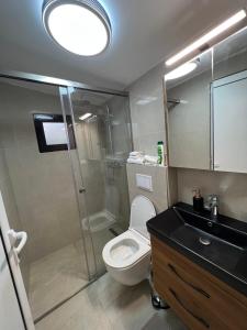 a bathroom with a toilet and a shower and a sink at Dori Cottage in Ada +28 photos