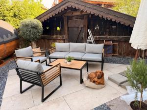 a dog laying in a dog bed on a patio at Ferienwohnungen Chiemgau in Rottau +130 photos