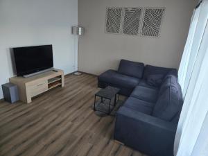 a living room with a blue couch and a tv at L Arcluzette in Fréterive