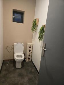 a bathroom with a toilet with a window and plants at L Arcluzette in Fréterive