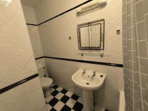 a bathroom with a sink and a toilet and a mirror at Bishops View in Galway