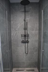 a shower with a shower head in a bathroom at Burgvliet41 in Oostkapelle