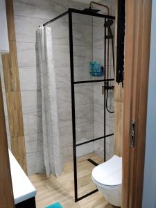 a bathroom with a toilet and a shower curtain at Apartament Ogrodzieniec in Ogrodzieniec