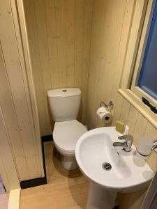a bathroom with a toilet and a sink at Heated shepherds hut overlooking open countryside in Chichester