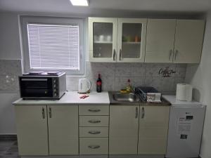 a kitchen with a microwave and a sink at Studio Villa Ruža in Golubac +10 photos