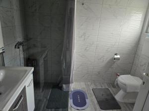 a bathroom with a shower and a toilet and a sink at Studio Villa Ruža in Golubac