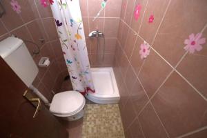 a bathroom with a toilet and a shower curtain at Maja Apartman in Igalo +11 photos