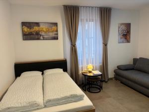 a bedroom with a bed and a couch and a window at Bellavista Home 2 in Trimbach +17 photos