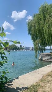 a person swimming in a body of water at Little Dream Konstanz in Konstanz +19 photos