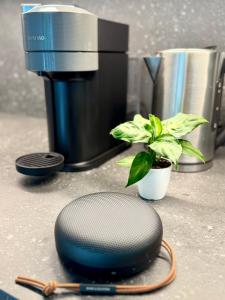 a plant in a pot next to a coffee maker at Little Dream Konstanz in Konstanz
