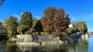 a tree on a stone wall next to a river at Little Dream Konstanz in Konstanz