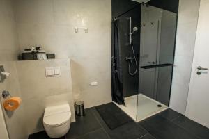 a bathroom with a shower and a toilet and a sink at UrbanApartment5 in Čakovec +8 photos