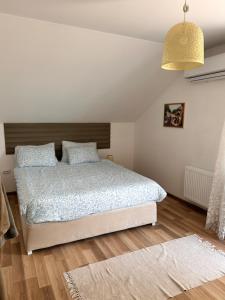 a bedroom with a bed and a chandelier at Casa Bella Fruška Gora with HOT TUB in Velika Remeta +14 photos
