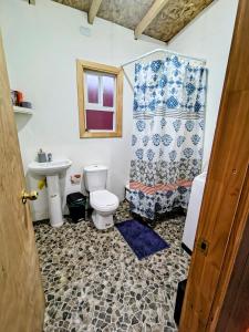 a bathroom with a toilet sink and a shower curtain at Casa kumey in Puerto Varas