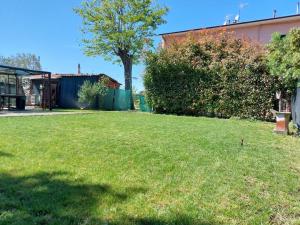 a grassy yard with a tree and a building at Casa con giardino in Cecina