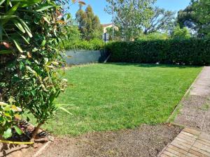 a yard with a hedge and a green lawn at Casa con giardino in Cecina