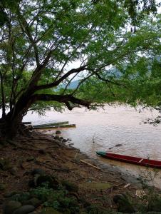 two boats sitting on the shore of a lake at Casa Sol y Alegría in Honda