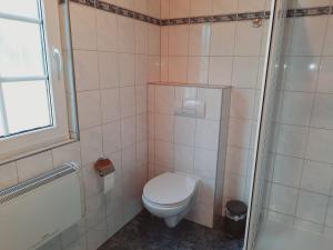 a bathroom with a toilet and a shower at Ferienhaus Milan mit Ruderboot - 300 m vom Fleesensee in Silz +11 photos